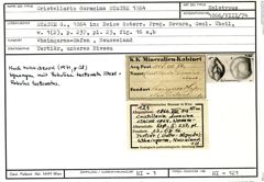 Karteikarte zum Holotyp von Cristellaria duracina Stache, 1864